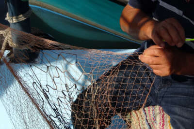 Denizlerde av sezonu başlıyor