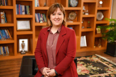 TARSİM Genel Müdürü Serpil Günal, yangın hasarlarını değerlendirdi