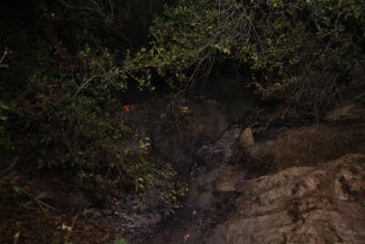 Zeytinlikte çıkan yangın, zamanında müdahale ile büyümeden kontrol altına alındı