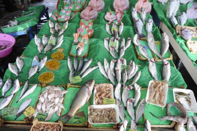 Balık tezgahlarında çeşit var, bolluk yok