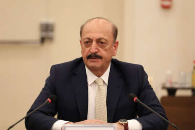 Çalışma ve Sosyal Güvenlik Bakanı Bilgin: 'Türkiye yüzde 10 büyüyecek'