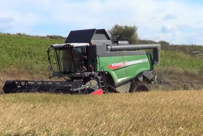 Çanakkale’de çeltik üreticisi tedirgin