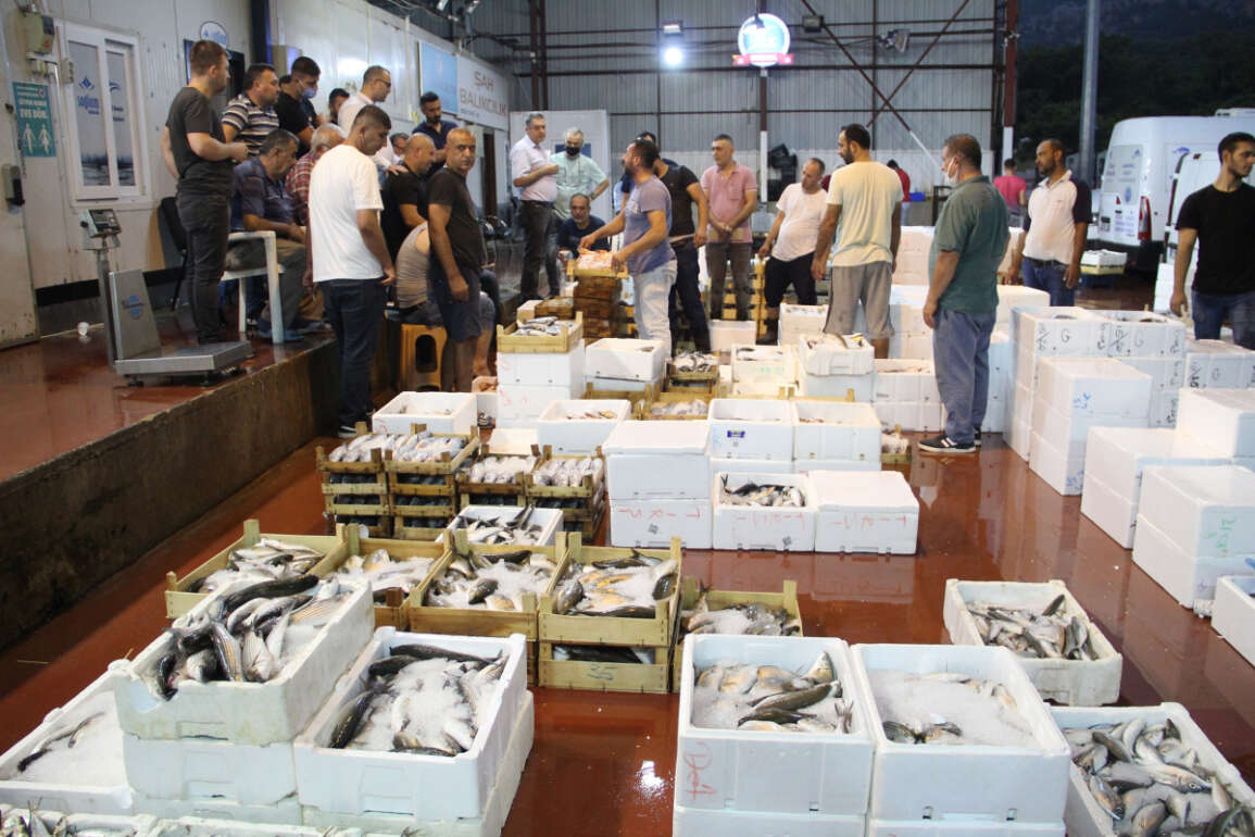 Denizde av sezonu açıldı, Antalya'da ilk balıklar kapış kapış satıldı