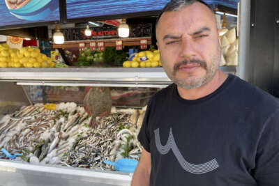 Hamsi yüzleri güldürdü palamut ise hayal kırıklığı yaşattı