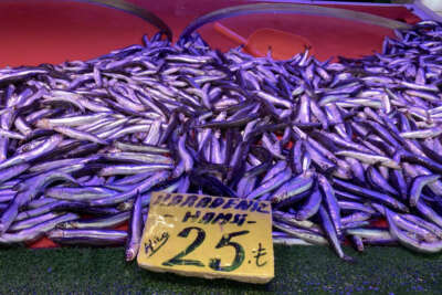 Hamsinin fiyatı düşmeye devam ediyor