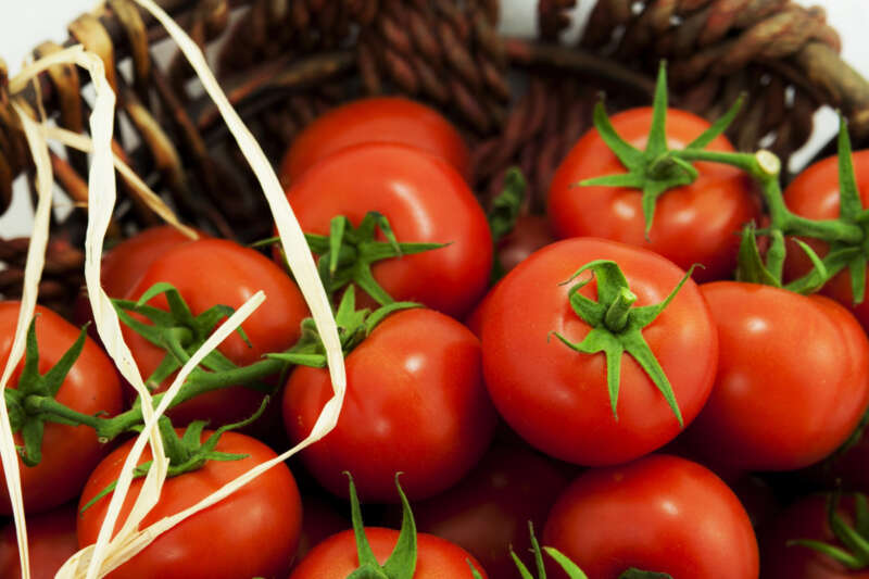 Rusya’ya domates ve biber ihracatındaki analiz zorunluluğu kaldırıldı