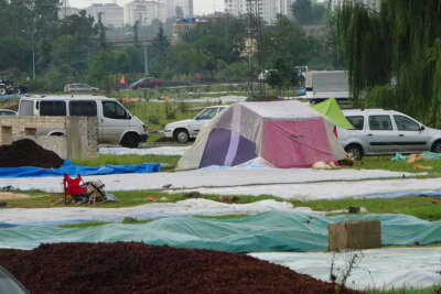 Soydan: 'Islanan fındıkta çürüme riski çok artıyor'