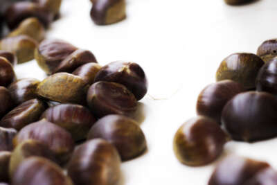 Türkiye kestane ihracatında 50 milyon dolar hedefliyor