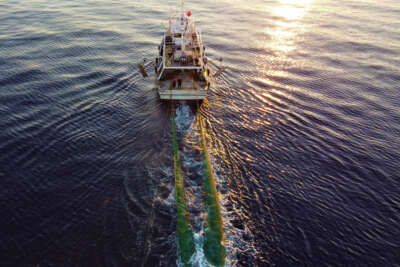 Balık ucuza alınıyor, 4-5 kat pahalı satılıyor, tezgah aracıların elinde