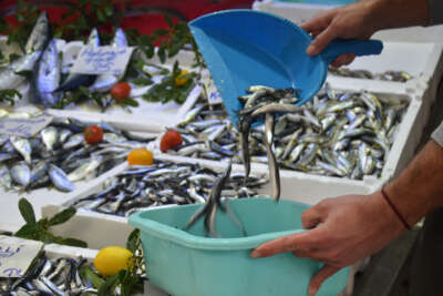 Balıkçı tezgahlarında durgunluk