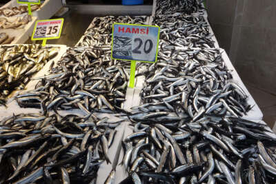 Hamsinin fiyatı bir günde ikiye katlandı