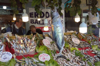 Karadeniz'de torik bereketi; tanesi 300 liraya satılıyor