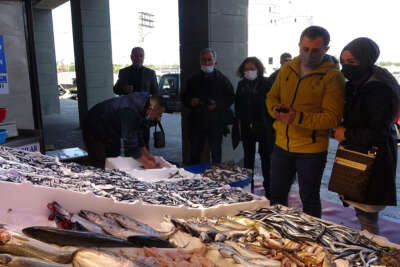 Kilosu 10 TL'ye kadar düştü, tuzlama zamanı geldi