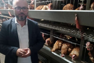 Uzmanlar uyardı: 'Lıkır lıkır oynayan yumurta bayattır'