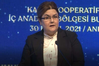 172 milyon TL sosyal ve ekonomik destek ödemesi yapılacak