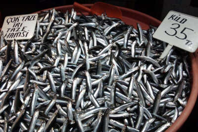 Balık fiyatları güzel havaya rağmen düşmüyor