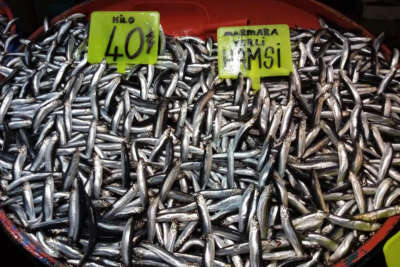 Hamsi azaldı, fiyatlar arttı