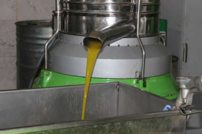 Kilis’te zeytinyağının kilosu 33 TL’den satılıyor