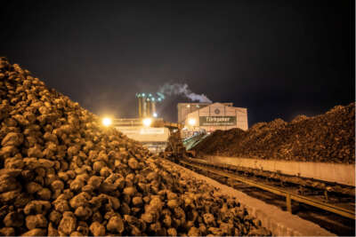 TÜRKŞEKER: “Şekerde arz problemi olduğuna dair iddialar doğru değildir”