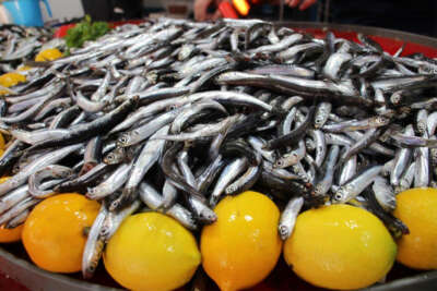 Aydın'da balık tezgahlarının yıldızı 'hamsi' oldu