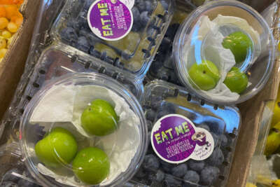 Erik 40 TL’den satışa çıktı