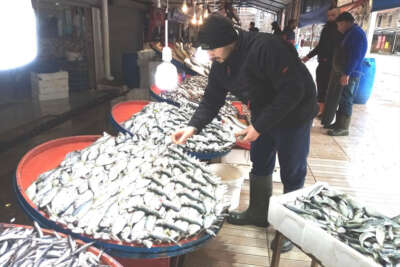 Kar çinekop getirdi