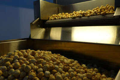 300 bin liraya kurduğu tesiste taleplere yetişemiyor