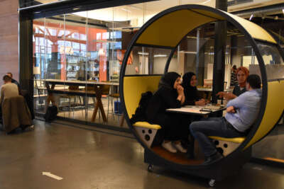 BTM’ye yılın ilk çağrı döneminde bin 958 girişim başvurdu