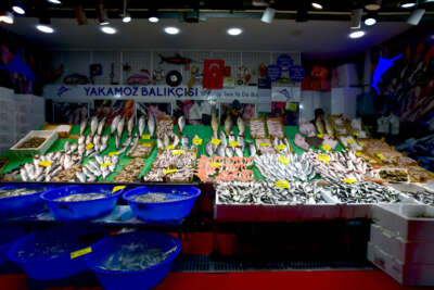 Kar, balık tezgahlarını şenlendirdi