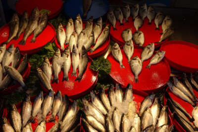 Soğuk ve karlı hava balık tezgâhlarını etkiledi