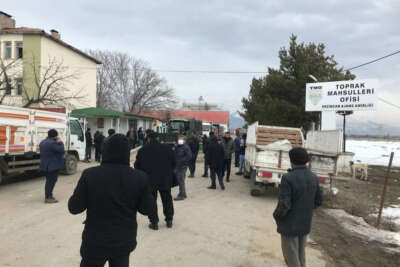 Besicilere büyük destek: Yüzde 45 indirimli arpa dağıtımı başladı