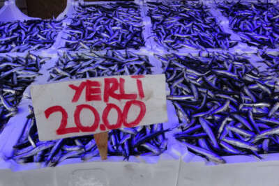 Hamsi avı azalınca ihracatı da düştü