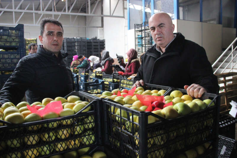 Karaman'dan Libya’ya elma ihracatı arttı