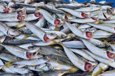 Müşteri çekme yarışı yeri göğü inletiyor