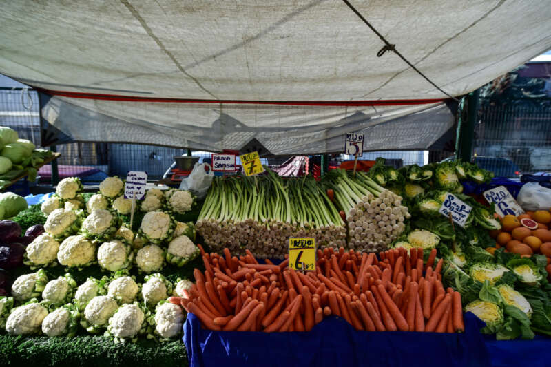 Soğuk hava sebzeleri yaktı, fiyatlar yüzde 50 arttı