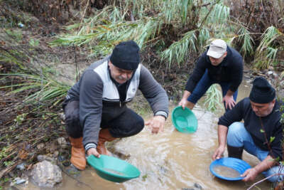 Buz gibi suda altın avı