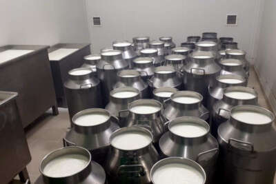 Çiğ süt tavsiye fiyatı litre başına 5,70 lira oldu