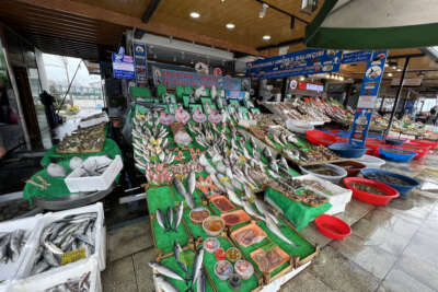 Fırtına balık fiyatlarını yükseltti