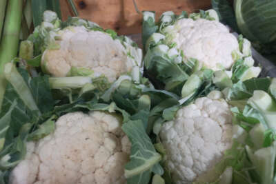 İstanbul'da Şubat ayında en fazla pahalanan ürün karnabahar oldu