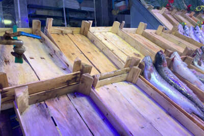 Kar yağışı ve rüzgârlı hava balık tezgahlarını boşalttı