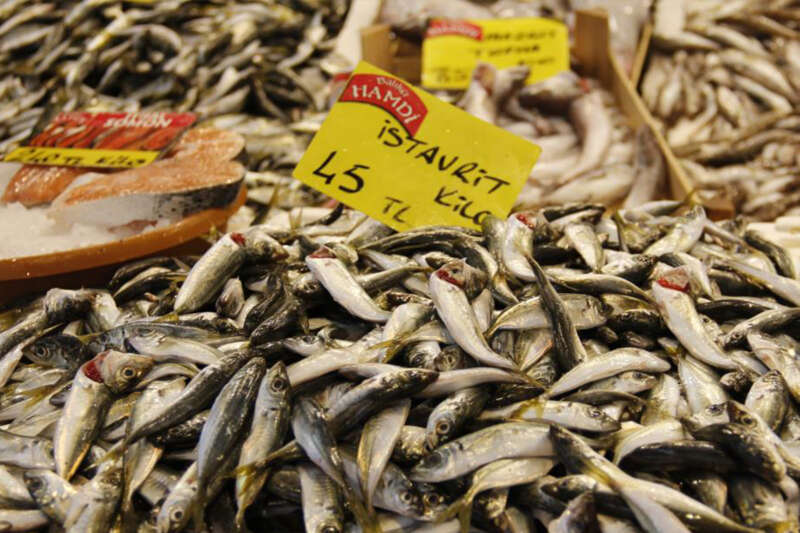 Marmara’da etkili olan kar yağışı balık fiyatlarını uçurdu