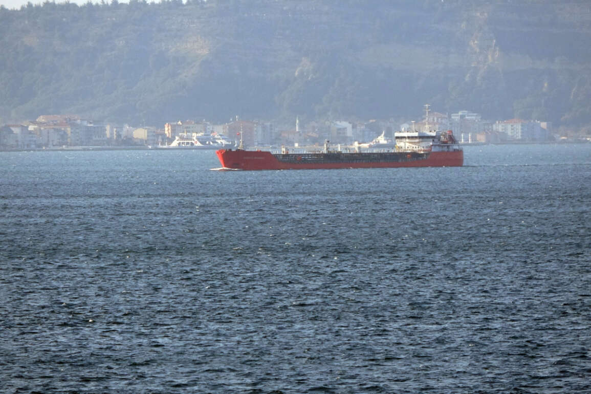 Rusya’dan ayçiçek yağı taşıyan gemi Çanakkale Boğazı’ndan geçti