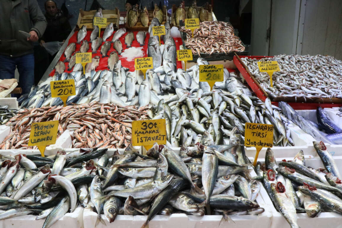 Samsun'da balık fiyatları arttı