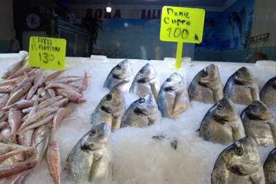 Sert hava koşulları balık fiyatlarını yükseltti