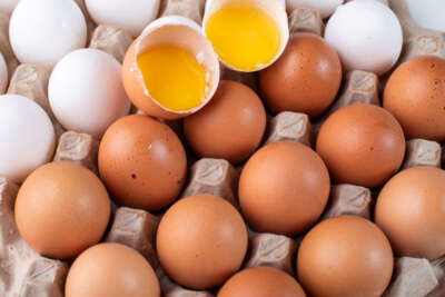 TGDF’ye katılımlar devam ediyor