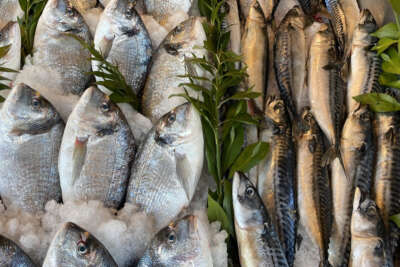 Karadeniz’deki serseri mayınlar tezgaha da yansıdı