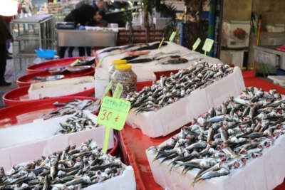Sezonun son balıkları tezgahlarda yerini aldı
