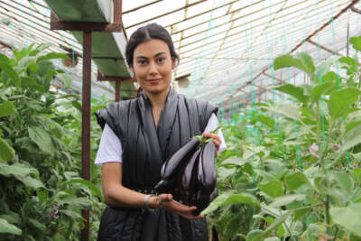 Tüketiciye ucuz sebze müjdesi