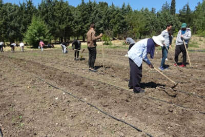 Kapıdaki gıda krizi için çözüm üretimden geçiyor