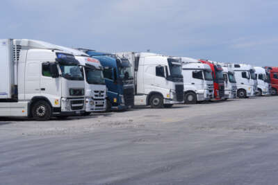 Sebze ve meyve taşıyan tırlar günlerdir Kapıkule’de bekliyor